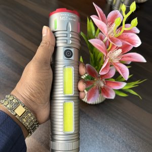 ZOOM LIGHT WITH POWER BANK Silver ( MST 36,000 mah)